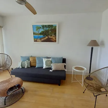 T2 Vue A 100m De La Avec Parking Prive Apartment *